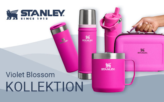 Stanley Violet Blossom Stanley Violet Blossom